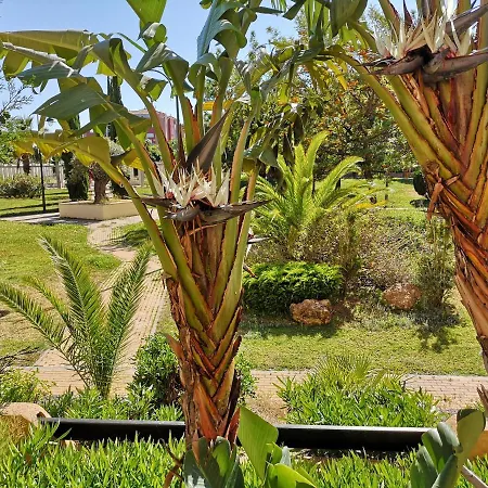 Lejlighed Jardines De Isla Canela, Planta Baja.